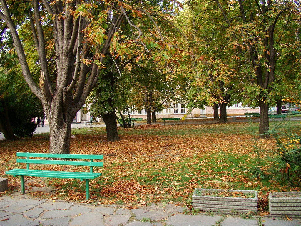 Есенно