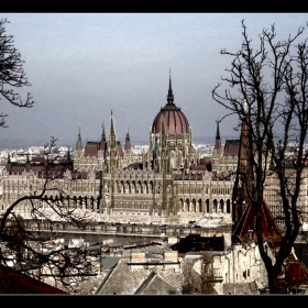 The Parliament