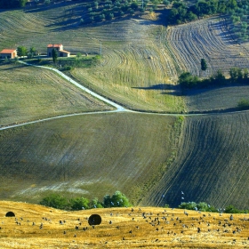 Castilla y Leon