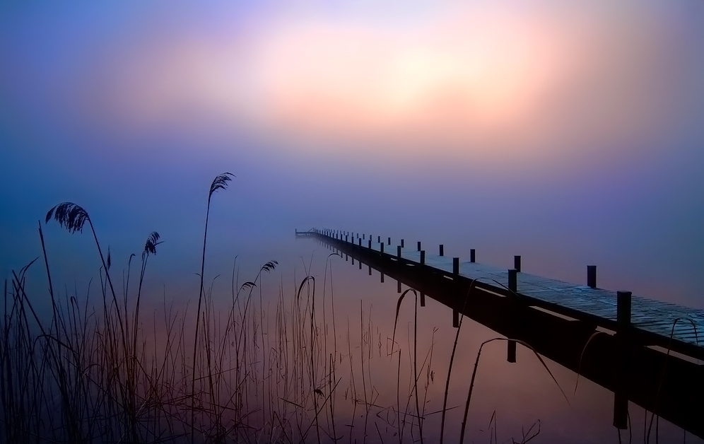 Fog - 6