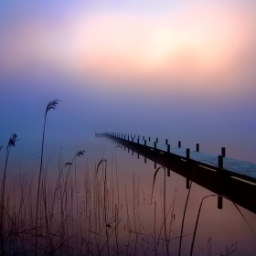 Fog - 6