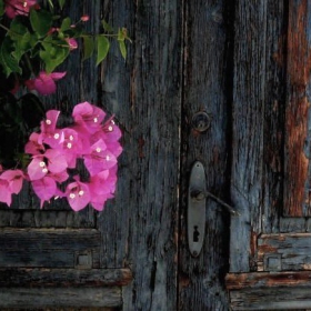 Streets of Limassol - Old Door