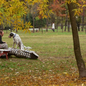 есен в парка