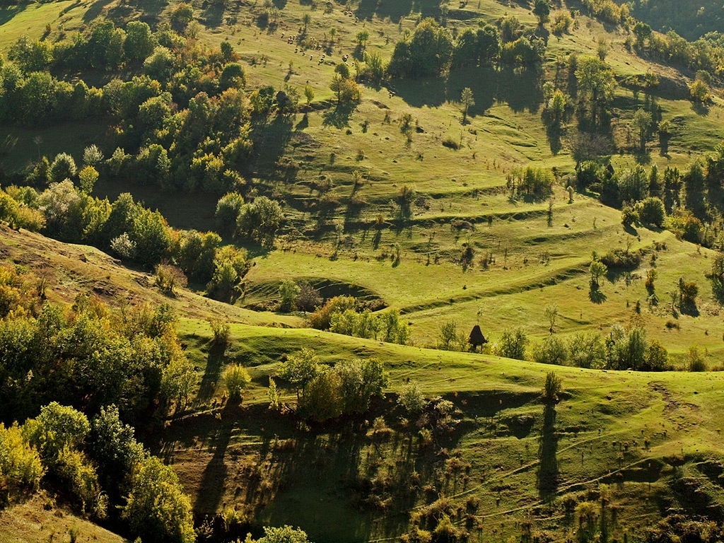 Зелено