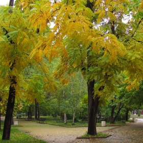 Есенно-дъждовно