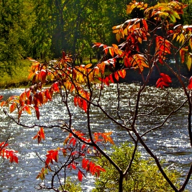 Есен край реката / Autumn River / Herbst im Fluss