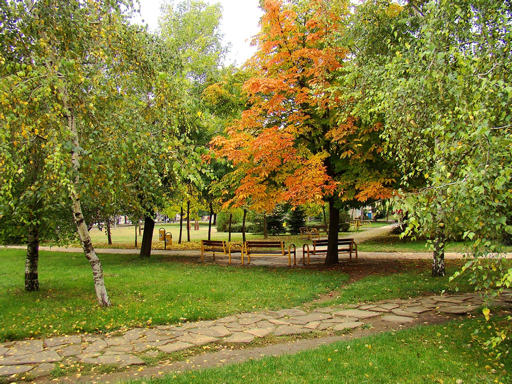 Есенни багри в парка