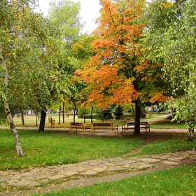 Есенни багри в парка