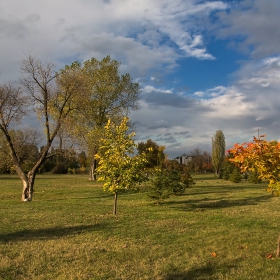 Есен в парка