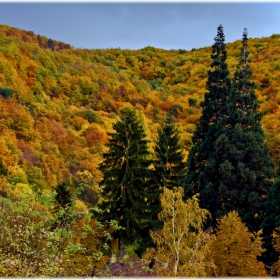 Есенно в Плана