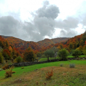 есенно