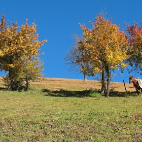 В очакване