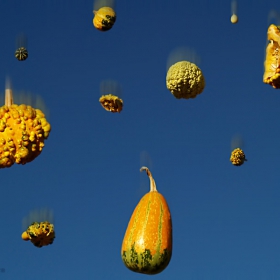 Flying pumpkins