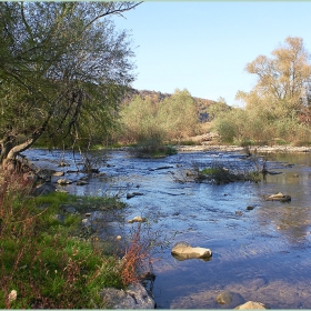 Река Вит в местноста 