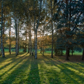 Следобед в парка