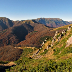 Юмрука, Вежен, Пъпа и т.н.