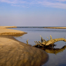 Там, където Камчия целува морето