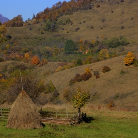 в разгара на есента