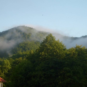 morning glory Ribaritsa hills