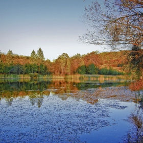 ...есенни багри край водата...