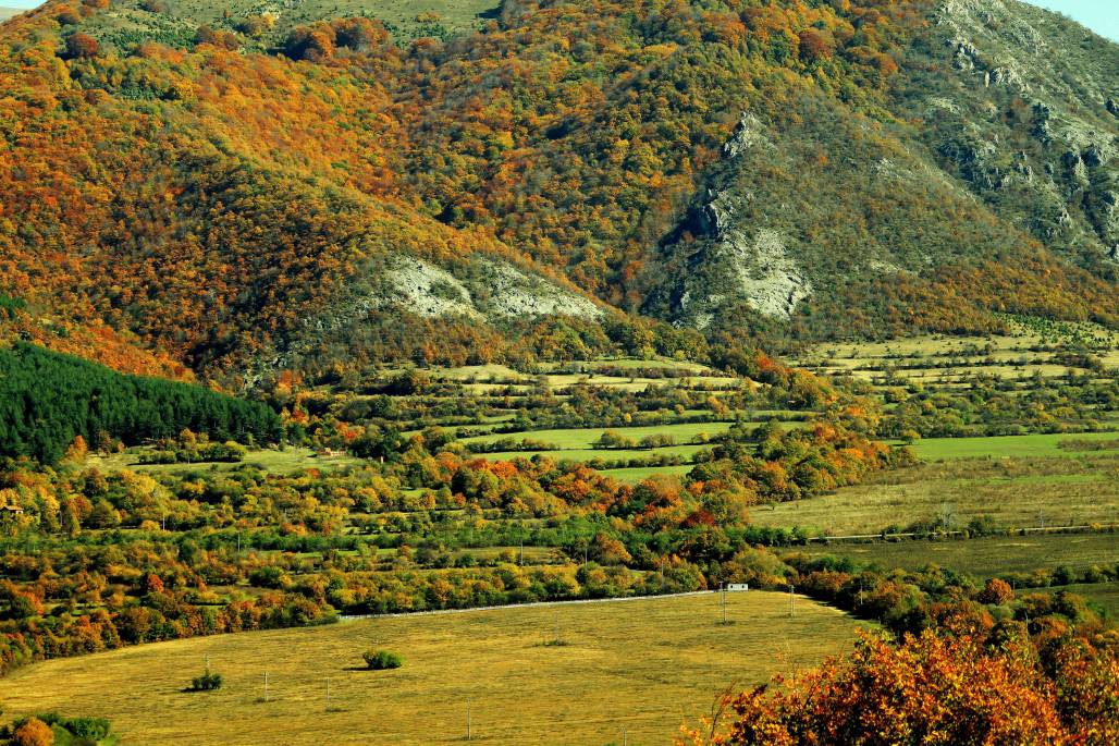 Частица от Стара планина
