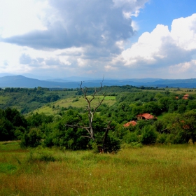 Някъде в Стара планина