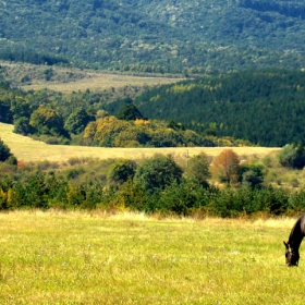 Предесенно