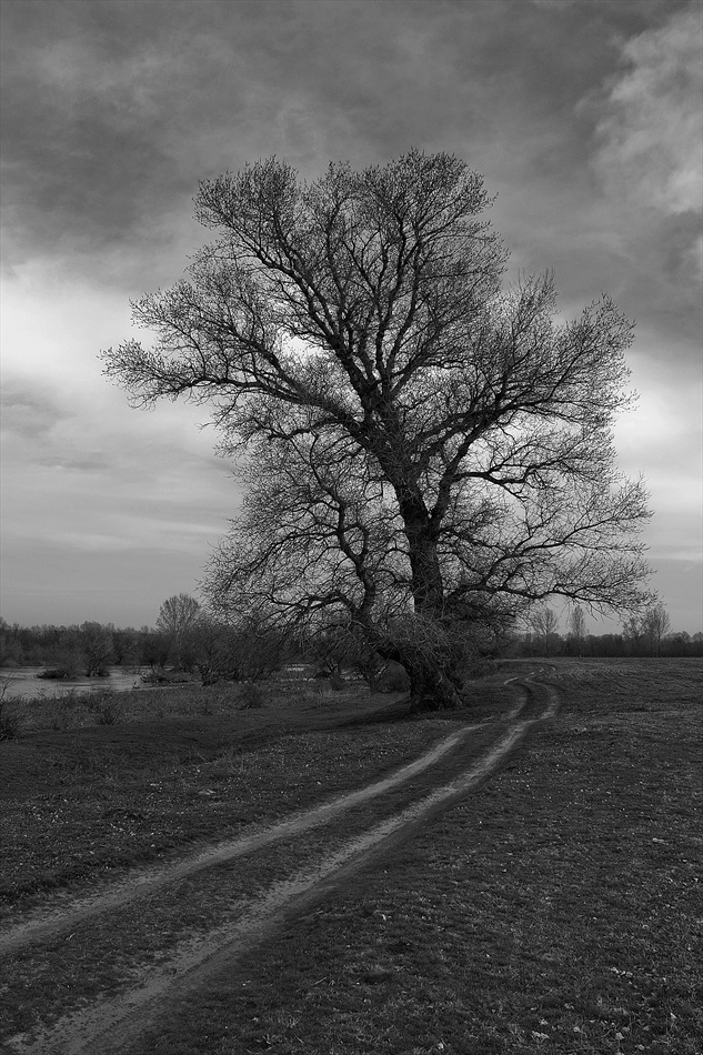 melancholy