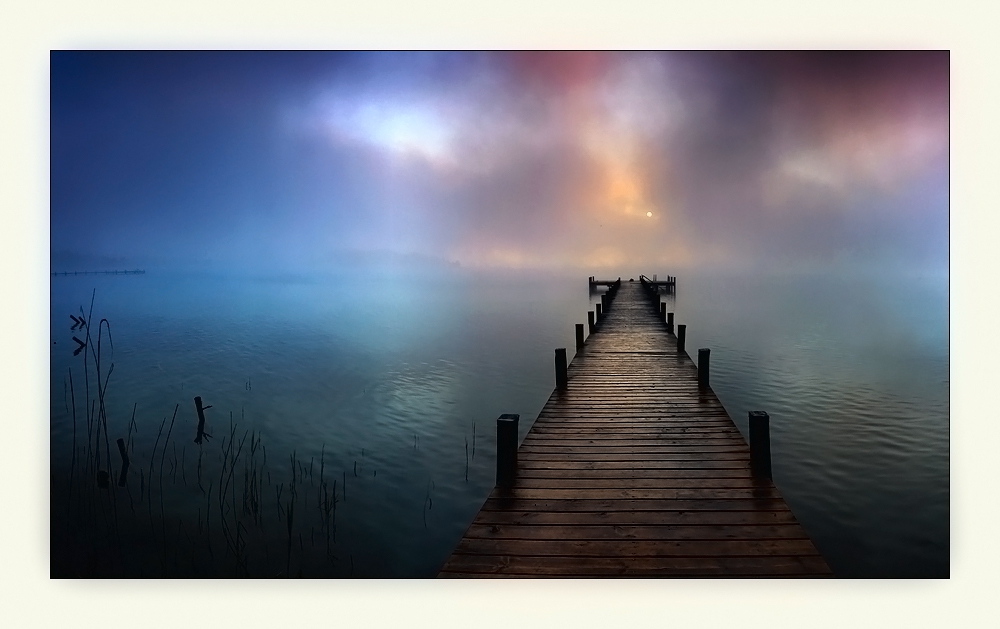 Fog - 4
