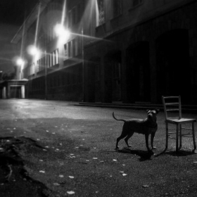 Baskervilskoto Kuchence