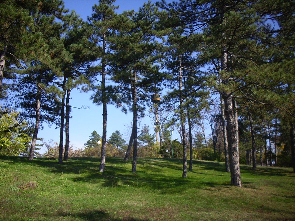Парка 