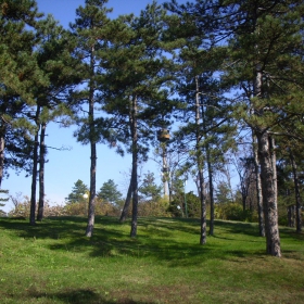 Парка 