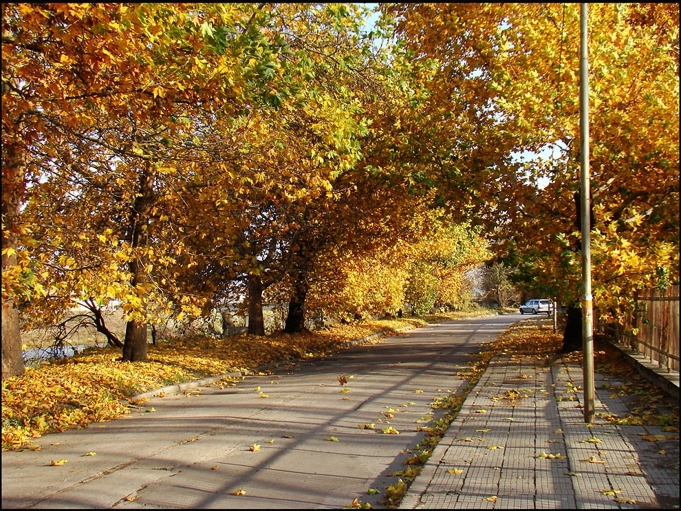 Есенна улица