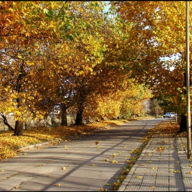 Есенна улица