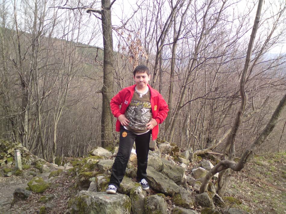 Сам в гората