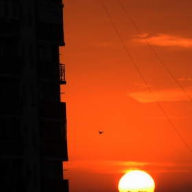 Sunrise