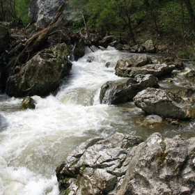 Бурната вода