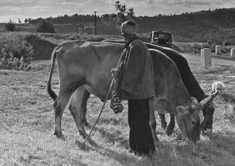 с. Райко Даскалово - юни 1955 г.