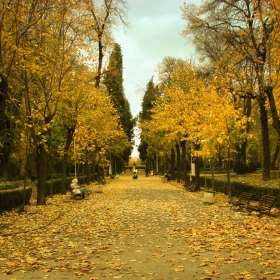 autunno