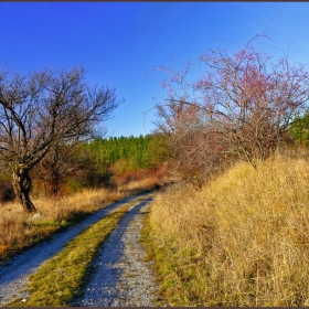 По залез време в Земенска планина_2