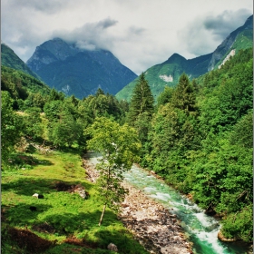 Тучна тревица, бистра водица