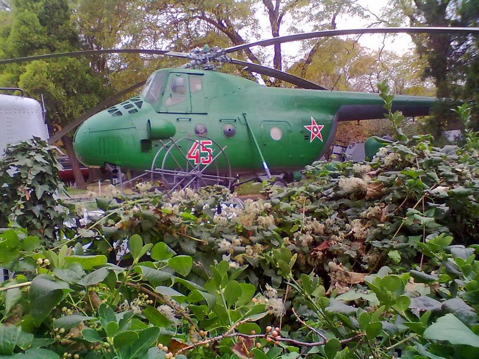в морската градина