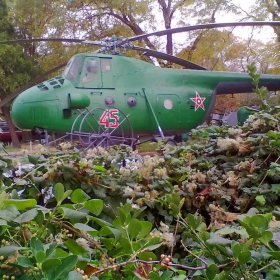 в морската градина