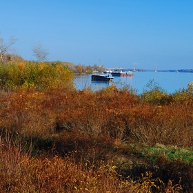 Есен край Дунава