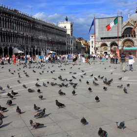 Piazza San Marco_1