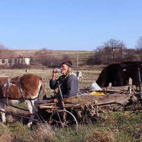 От село