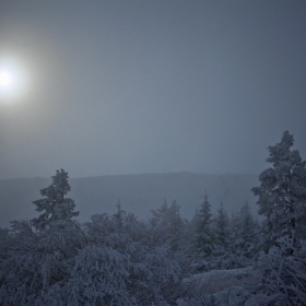 Vitosha