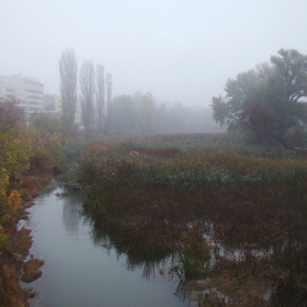 Мъгливо утро над реката