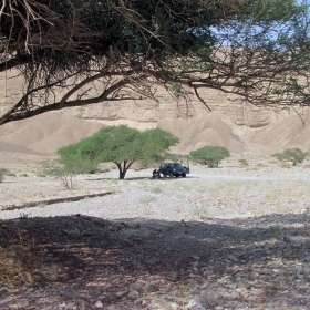 BREAKFAST IN THE DESERT ( NEGEV - ISRAEL)