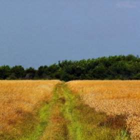 Загоре